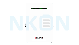 BSL Battery Li-Pro 1024 51.2V 10.24kWh Thuisbatterij
